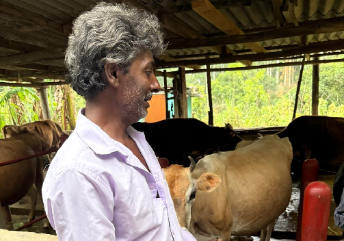 Photo 385: The IFAD SVM and the SAPP Team Visited Bandarawela Dairy 4P farmers, Bandarawela on 16 Sep 2025